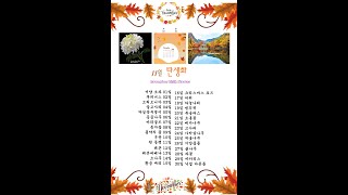 11월 탄생화 해설 November Birth Flower and explanations [upl. by Aicxela]