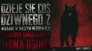 Coś dziwnego dzieje się z wilkami w naszym rezerwacie Co rok ginie jedna osoba  CreepyPasta PL [upl. by Henderson187]