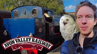 Its A Hoot at Avon Valley Railway 2024 With Pitcombe Rock Falconry  Days Out By Train [upl. by Einrae]