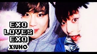 EXO LOVES EXO XiuHo [upl. by Meekahs]