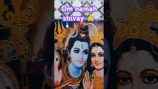 Om namah shivay 🙏❤️bhakti astha omnamahshivaya love bholenath shorts [upl. by Ahsiatal]