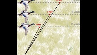 How to Lead Birds Shooting 101 Game Birds [upl. by Bruno]