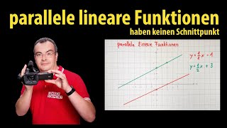 parallele lineare Funktionen haben keinen Schnittpunkt  Lehrerschmidt [upl. by Ylim]