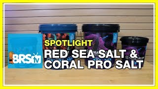 Your saltwater tank on Red Sea Salt and Coral Pro Salt  BRStv Spotlight [upl. by Franciscka]