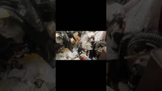 3rd Floor 1000 Foot Walk Hoarder Apartment Cleanout Elk Grove Village Illinois youtubeshorts [upl. by Yrrab]