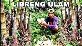 KUMUHA NG LABONG  BUHAY BUHAY BUKID [upl. by Hoppe]