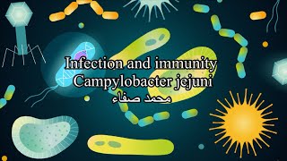 Campylobacter jejuni [upl. by Connors]