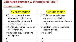 Difference between X chromosome and Y chromosome [upl. by Notlew446]