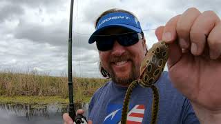 How to WALK a FROG to Catch More Bass [upl. by Audras]