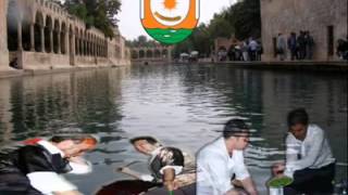 Urfa sıra geceleri cemil [upl. by Annah405]