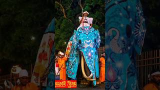 Uththama Muni Dalada උත්තම මුණි දළදා [upl. by Omarr533]