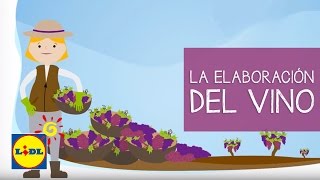 La elaboración del Vino 🍇🍷  Todo sobre el Vino  Lidl España [upl. by Silevi165]