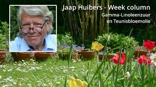 Jaap Huibers  Week column  Premenstruele klachten GammaLinoleenzuur en Teunisbloemolie [upl. by Ecerehs]