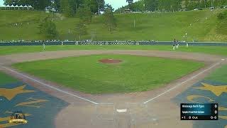 Cooperstown Championship Game  2022 Tournament 10 [upl. by Hayifas]