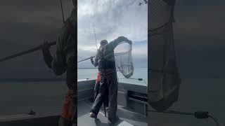 Salmon fishing in Alaska with my wife We caught a chinook alaska juneau salmonfishing fishing [upl. by Hinman994]