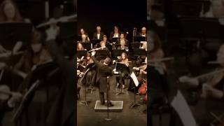 The Best of Classical Music ClassicalMusic Conducting Symphony [upl. by Chloras55]