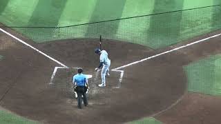 Shohei 43rd HR of the season [upl. by Lamont]