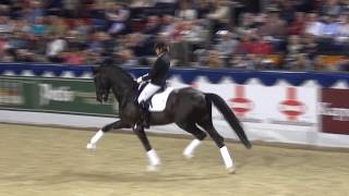 SEZUAN amp Dorothee Schneider  Hengstgala Münster 2015 [upl. by Amitarp]