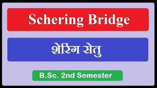 schering bridge PhysicsJockey [upl. by Nitsid898]