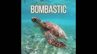 MC Oogway  Bombastic Lova Lova Official Audio [upl. by Luemas841]