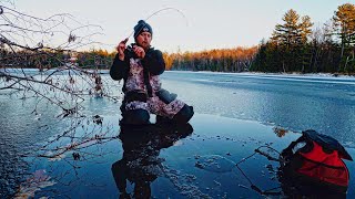 FIRST ICE Shallow Water Crappie Fishing SUPER THIN [upl. by Aoket815]