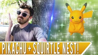 Pokemon GO SHINY HUNTING in a Pikachu Nest Dual Nest at McKinley Park in Sacramento CA [upl. by Neroc]