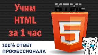 Учим HTML за 1 Час От Профессионала [upl. by Akkim]