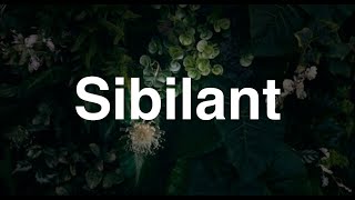 Sibilant  English Word  Meaning  Examples [upl. by Talmud181]