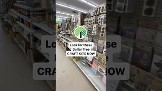 What Dollar Tree has these in the craft section needlefelting craftkits [upl. by Fem]