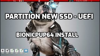 New SSD partition and install Bionicpup64 in a UEFI bios PC [upl. by Irolam]