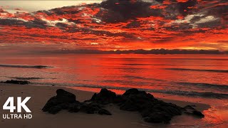 Perfect Sunrise at the Beach with Calming Sound of Waves  4K Ultra HD [upl. by Muhan]