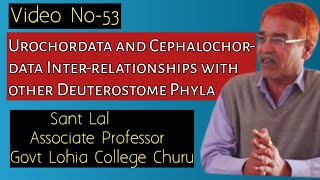 Urochordata and Cephalochordata interrelationships with other Deuterostome Phyla Video No53 [upl. by Eberta]