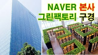 네이버 본사그린팩토리 미로숲 대형도서관 구경방문견학경기도 분당 가볼만한 곳 naver corporation visti labyrinth forest library [upl. by Ardnohs]