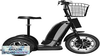 MotoTec Electric Trike 48v 800w Mobility Scooter Review [upl. by Fabrin479]