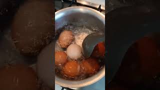 Boiling white ang brown eggs viralshorts viralvideo trending [upl. by Abdulla]