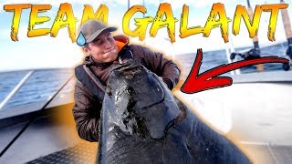 CATCHING GIANT HALIBUT  One Week in Norway  Team Galant [upl. by Anawik155]