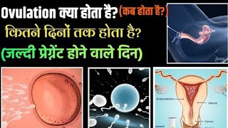 ओवुलेशन पीरियड लक्षण और कब होता है Ovulation Symptoms in hindi💯pregnancy symptoms [upl. by Durward]