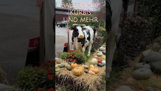 Bauernhof Hofladen Kürbis Kinder und Halloween landwirtschaft bio hofladen schweiz halloween [upl. by Mullane]