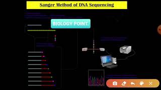 SANGER METHOD OF DNA SEQUENCING [upl. by Pappas]