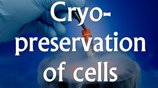 Cell culture techniques 4  Cryopreservation [upl. by Emilee472]