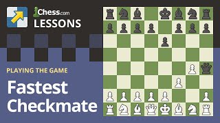 The Fastest Checkmates in Chess [upl. by Asehr]