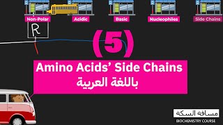 Amino Acids side chains  5 شرح السلاسل الجانبية للأحماض الأمينية [upl. by Nednerb]