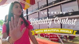 BRANDY WATCH  KLI Tangerang LOVEBIRD BEAUTY CONTEST With Beautiful Angels [upl. by Yzdnil]