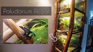 Regenwald  Paludarium Regal  Terrarien für Pfeilgiftfrösche Regenwald Bewohner [upl. by Ruddie931]