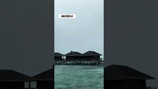 Maldives water villa youtubeshorts youtube travel trending couple love resort tamil telugu [upl. by Nima344]