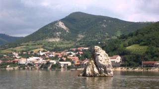 Donau  Beluga geht durchs Nadelöhr [upl. by Akihsar]