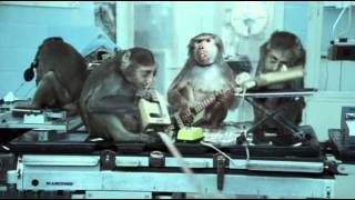 Basement Jaxx  Wheres Your Head At Official Video [upl. by Tezil]