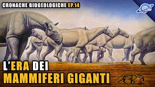 LEra dei Mammiferi Giganti  Oligocene Paleogene  Cronache Biogeologiche Ep 14 [upl. by Abagael]