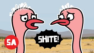 Irish Ostriches Have Really Bad News UNEXPECTED  Sminky Shorts Tornado [upl. by Aivek525]