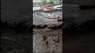 Weathering and Erosionbiologyshort video।science।soil [upl. by Wesa784]